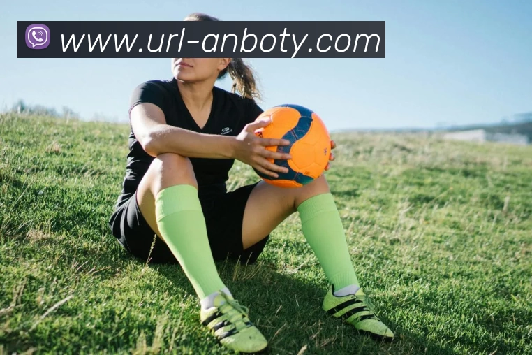 安博体育平台生态图